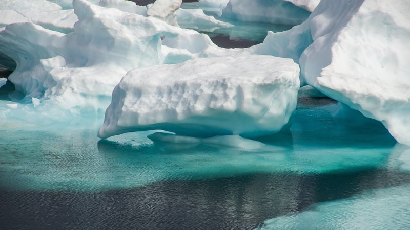 Arctic Tundra